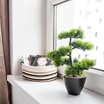 公寓 Apartly - 7, Mickiewicza 34 什切青