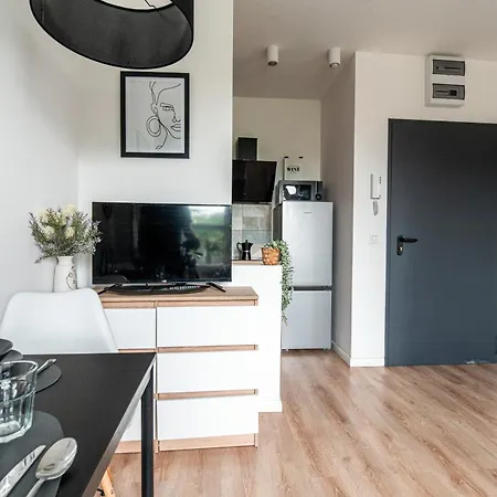 Lägenhet Apartly - 7, Mickiewicza 34 *